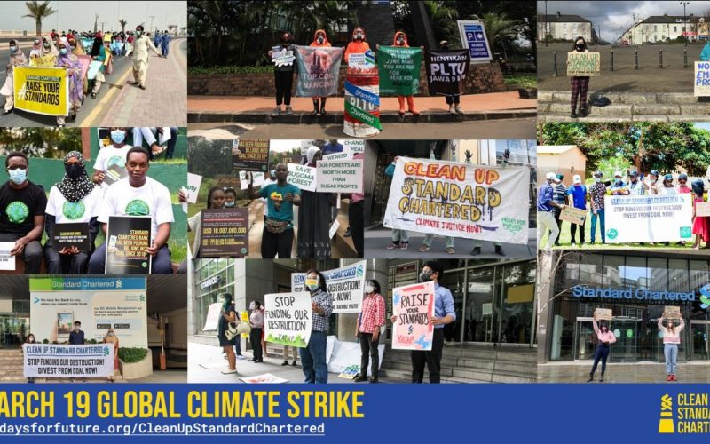 A collage of images from climate strikes